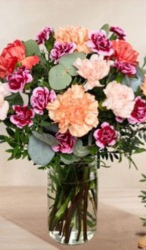 fleuriste camelia braine