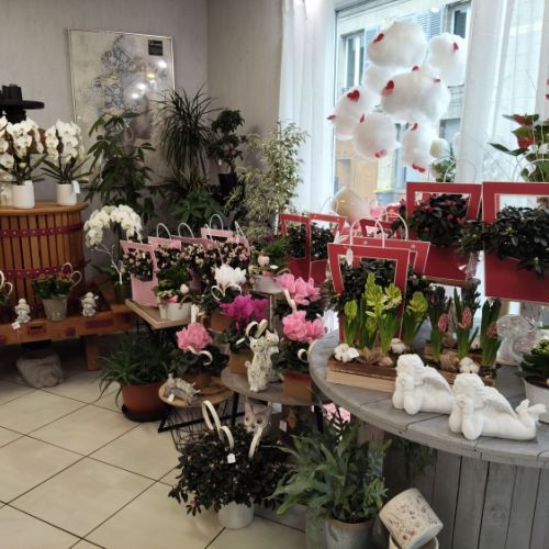 fleuriste camelia braine