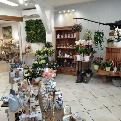 fleuriste camelia braine