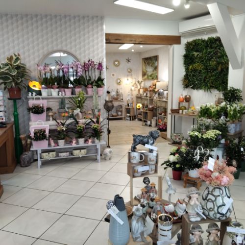 fleuriste camelia braine