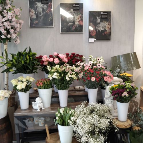 fleuriste camelia braine