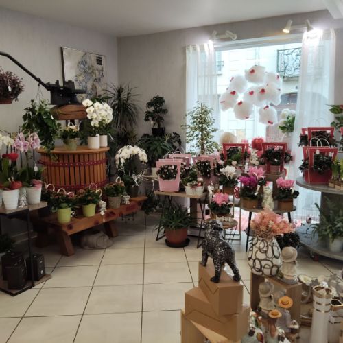 fleuriste camelia braine