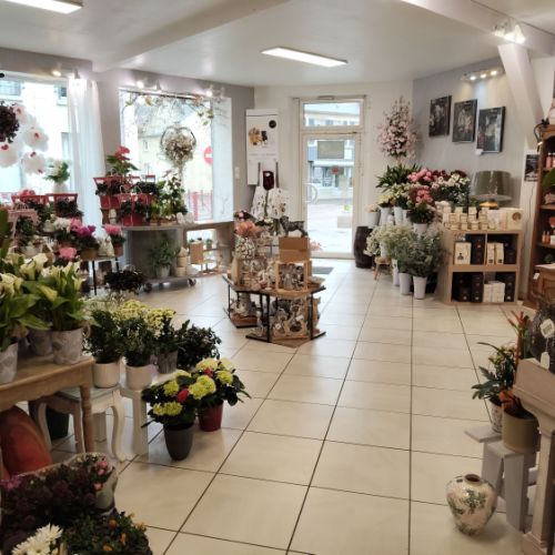 fleuriste camelia braine