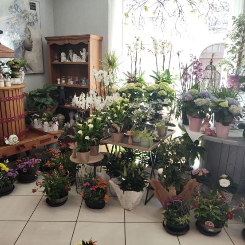fleuriste camelia braine