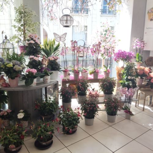fleuriste camelia braine