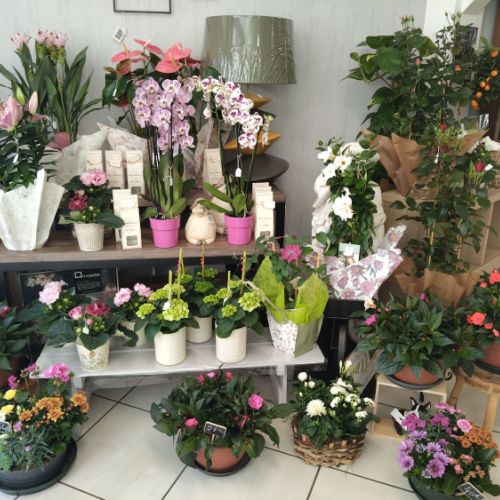 fleuriste camelia braine